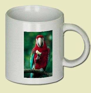 Macaw Coffee Mug