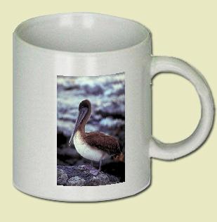Pelican Coffee Mug