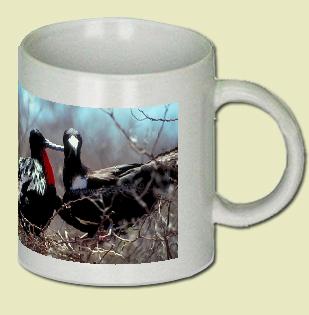 Frigatebird Coffee Mug