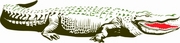 Alligator T-Shirt