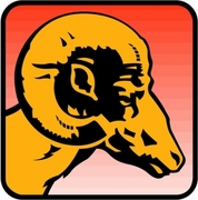 Bighorn Sheep Magnet