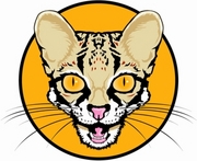 Cat T-Shirt