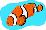 Clown Fish T-Shirt