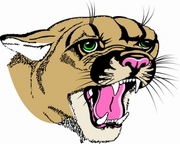 Cougar T-Shirt