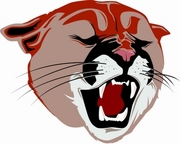 Cougar T-Shirt