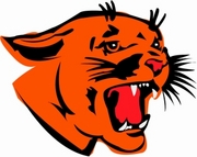 Cougar T-Shirt