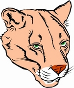 Cougar T-Shirt