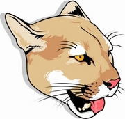 Cougar T-Shirt