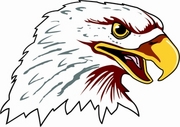 Eagle Magnet
