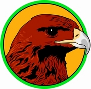 Eagle Magnet