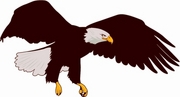 Eagle Magnet