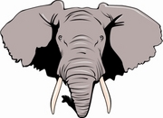 Elephant T-Shirt