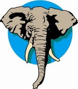 Elephant T-Shirt