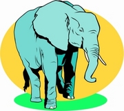 Elephant T-Shirt