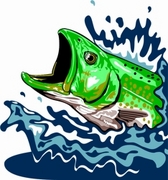 Fish T-Shirt