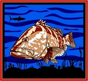 Grouper Fish T-Shirt