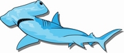 Hammerhead Shark Magnet