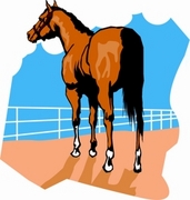 Horse Mousepad