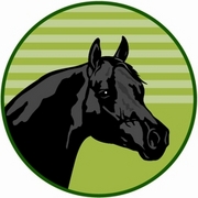 Horse Mousepad