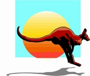 Kangaroo T-Shirt