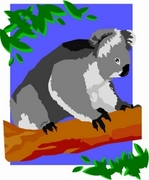 Koala T-Shirt