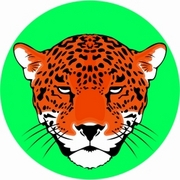 Leopard T-Shirt