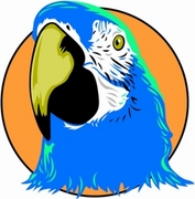 Macaw Poster
