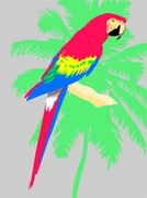 Macaw Poster