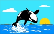 Orca Magnet