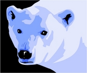 Polar Bear T-Shirt