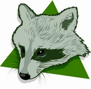 Raccoon T-Shirt