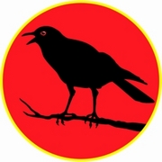 Raven Magnet