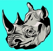 Rhinoceros Magnet