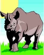 Rhinoceros Magnet