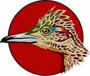 Roadrunner Magnet