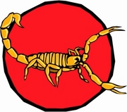 Scorpion Magnet