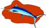 Swordfish T-Shirt