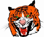Tiger Magnet