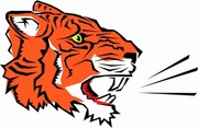 Tiger Magnet