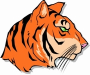 Tiger Magnet