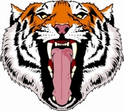 Tiger Magnet