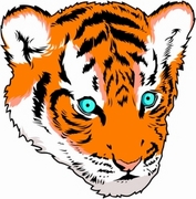 Tiger Magnet