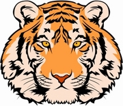Tiger T-Shirt