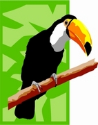 Toucan Magnet