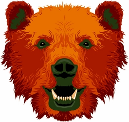 Grizzly Bear