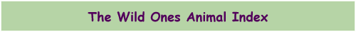 Welcome to The Wild Ones Animal Index!