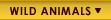 wild animals