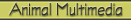 Animal Pictures, Movies, and Sounds